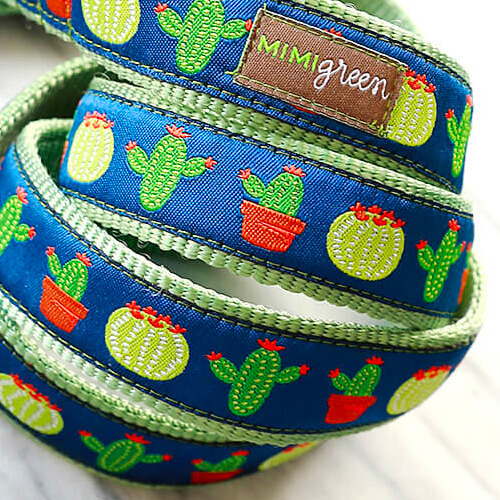 Aloe (Blue & Green)