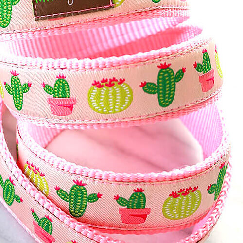 Vera (Pink & Green)