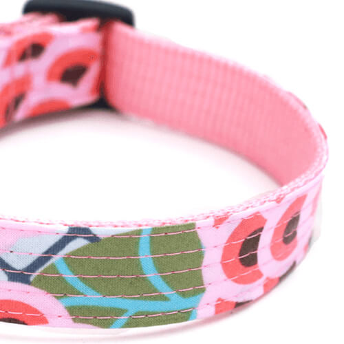 Leash