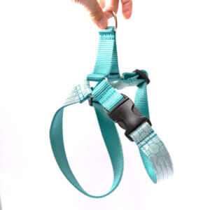 teal laminated dog harness retro vibes