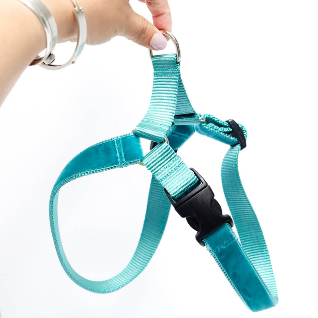 teal velvet dog harness