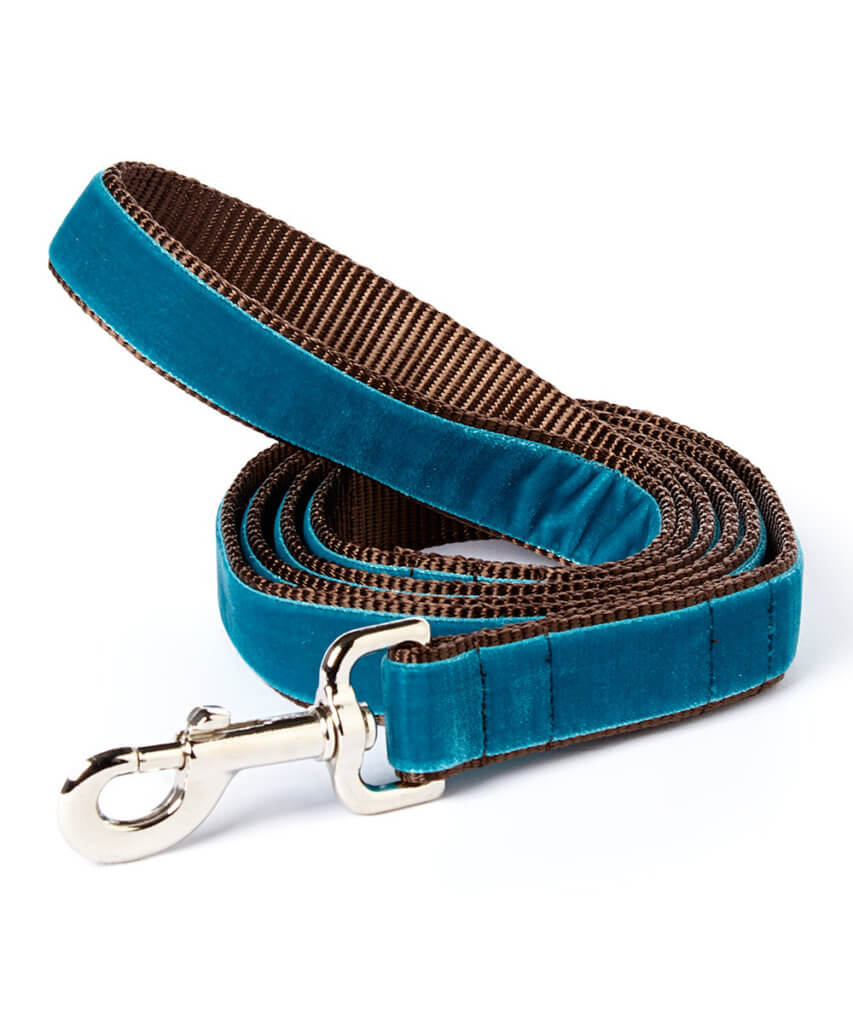 zack teal velvet dog leash