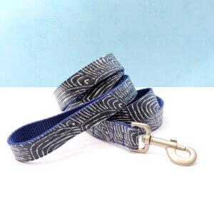 Capri laminated blue dog leash