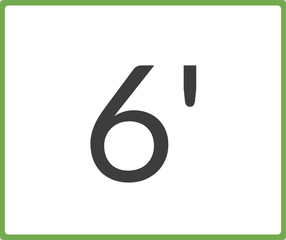 6 Feet