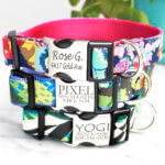 Personalized Dog Collar w Laser Engraved Metal Buckle *Classic Cotton Styles