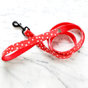 minnie laminated cotton dog leash