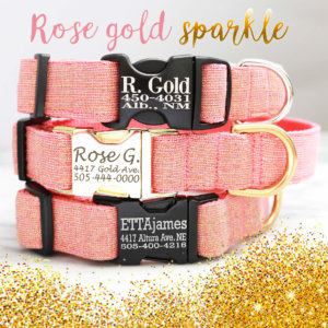 rose gold dog collar