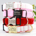 Lovey Valentine Velvet Dog Collar with engraved buckle