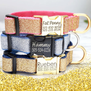 Glitter dog collar silver gold