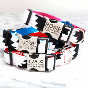 DD: Mimi Green Dog Leash - Albuquerque Canvas Modern Black & White - 15 colors - Image 3