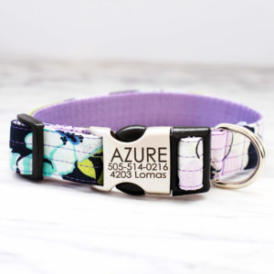 azure purple engraved dog collar