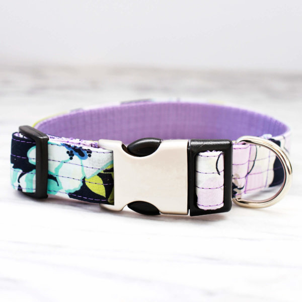 azure purple dog collar