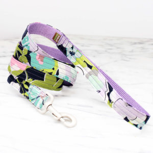 azure dog leash