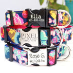 'Ella' Floral Dog Collar - Laser Engraved Personalized Buckle