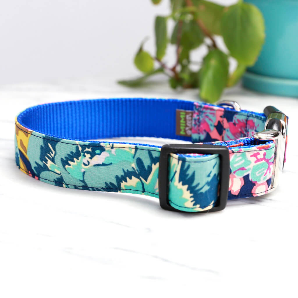 blue dog collars