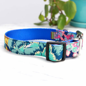 blue dog collars