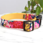 Ella + Yellow Webbing