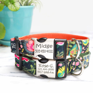 Midge Dog collar Groovy 70's style dog collar