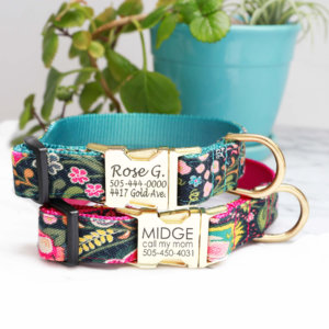 Midge Dog collar Groovy 70's style dog collar