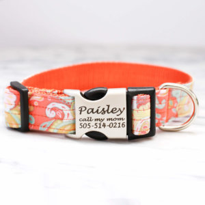 paisley orange dog collar