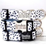 Spotted Laminated Cotton Dog Collar 'Animal' with Optional Engraved Buckle
