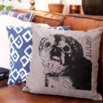 DD: Your Pet's Face on a Pillow!
