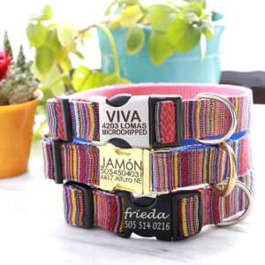 viva hand woven dog collar