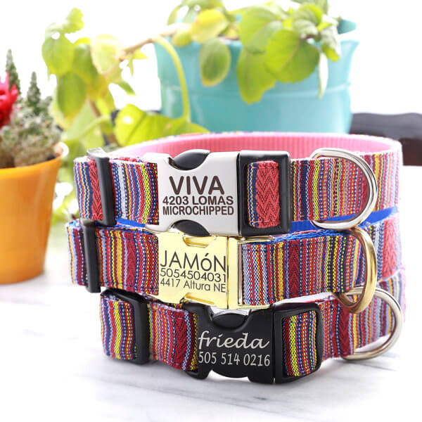 viva hand woven dog collar