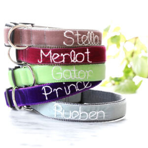 Embroidered Dog Collars