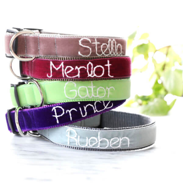 Custom Velvet Dog Collars With Personalized Embroidered Name And