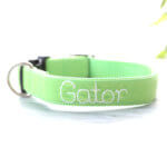 Bright Green Velvet Embroidered Dog Collar - 'Gator'