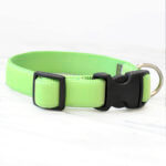 Bright Green Velvet Dog Collar - 'Gator'