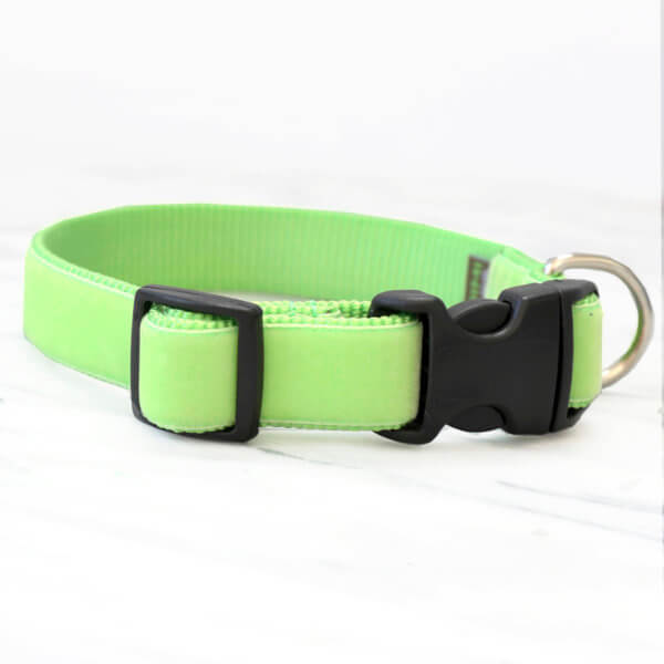 Bright Green Velvet Dog Collar - 'Gator'
