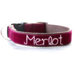 Bordeaux Red Velvet Embroidered Dog Collar - 'Merlot'