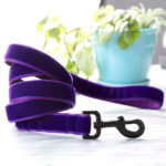 prince purple velvet dog leash
