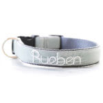 Light Fog Grey Velvet Embroidered Dog Collar - 'Rueben'