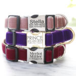 purple prince dog collar