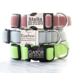 engraved velvet pet collar