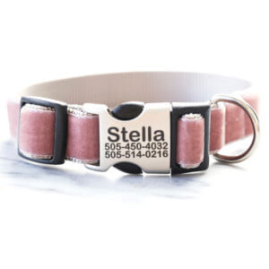 pink dog collars