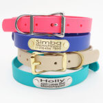 Waterproof Dog Collar with Riveted Nameplate