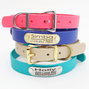 waterproof nameplate dog collar