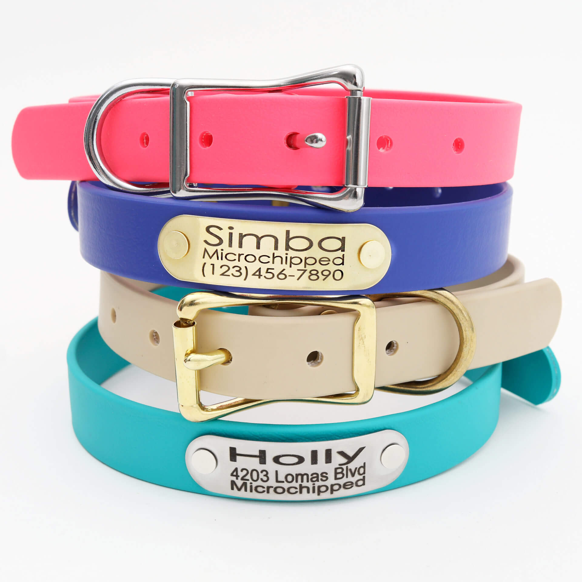 Waterproof Dog Collar with Riveted Nameplate