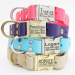 Waterproof Leather Alternative Dog Collar with Engraved Buckle
