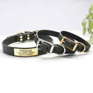 black nameplate dog collars