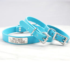 blue nameplate dog collars