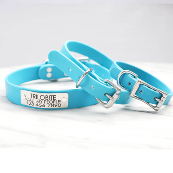 Waterproof Dog Collar With Nameplate 20 Colors Mimi Green