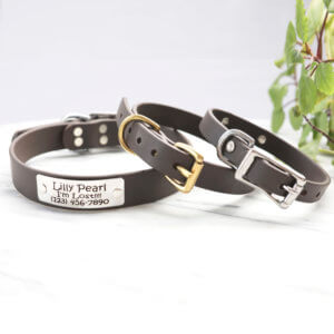 brown nameplate dog collars