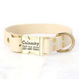 cream dog collar