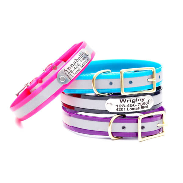 Waterproof Reflective Dog Collar with Riveted Nameplate