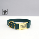 DD: Forest Green Waterproof Leather Alternative Dog Collar with Engraved Buckle